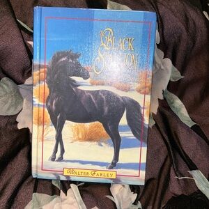 the BLACK STALLION hardback novel young adult books literature Walter Farley